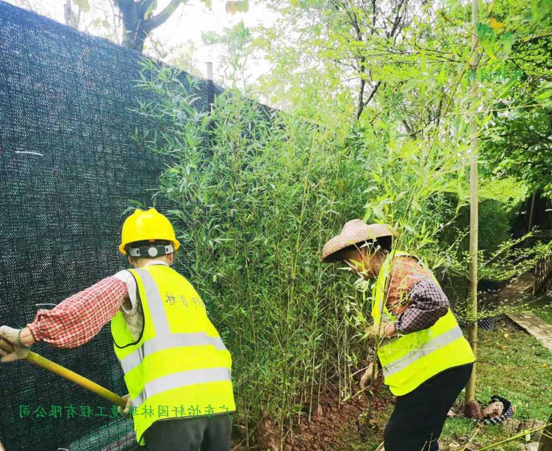 番禺露营基地菲律宾网赌合法平台种植现场